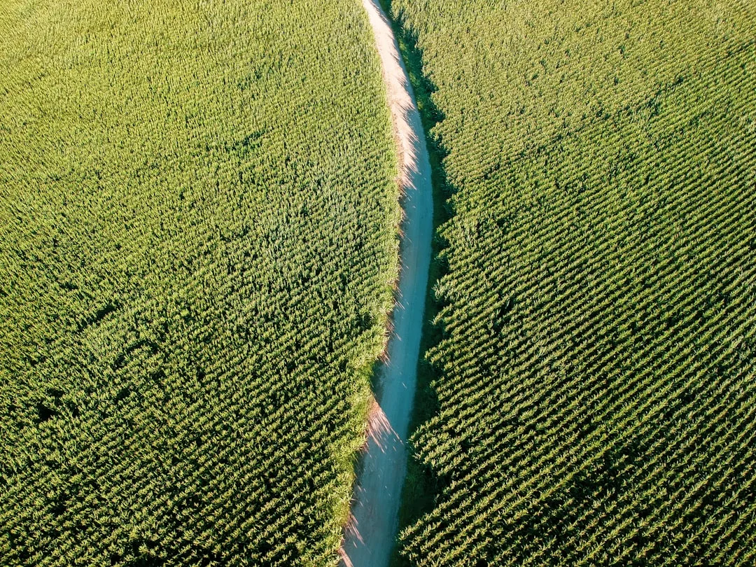 relaciones intensas Atrayendo relaciones intensas: Desentrañando el misterio chinese metaphysics illustration abstract energy