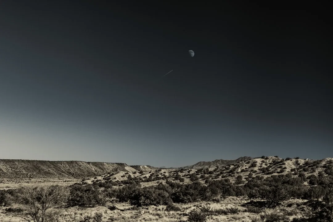 life changes Why Do Some People Experience Dramatic Life Changes? chinese metaphysics illustration zen style