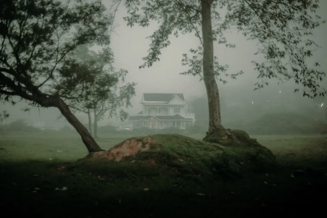 cambios bruscos en la vida Comprender los cambios bruscos en la vida: causas e implicaciones chinese metaphysics illustration abstract energy