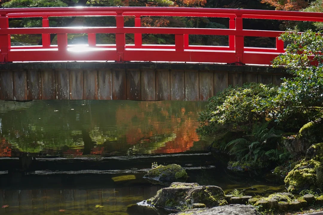 Natural Luck Why Do Some People Seem Naturally Lucky? chinese metaphysics illustration zen style