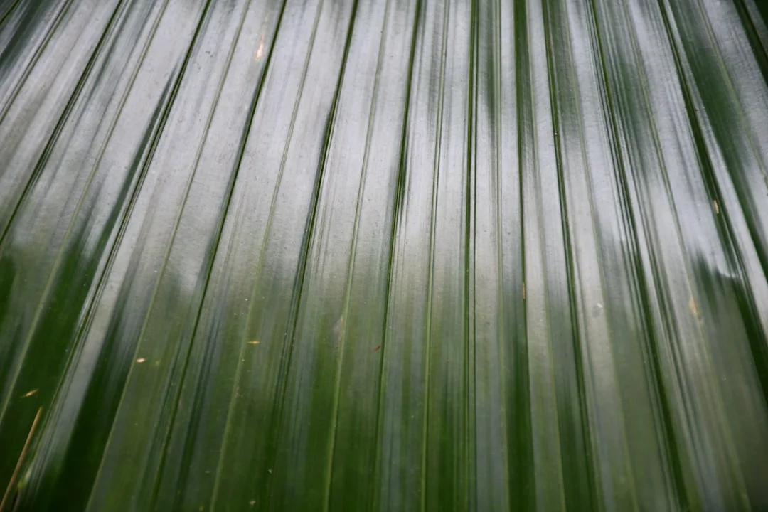 Natural Luck Why Do Some People Seem Naturally Lucky? chinese metaphysics illustration abstract energy