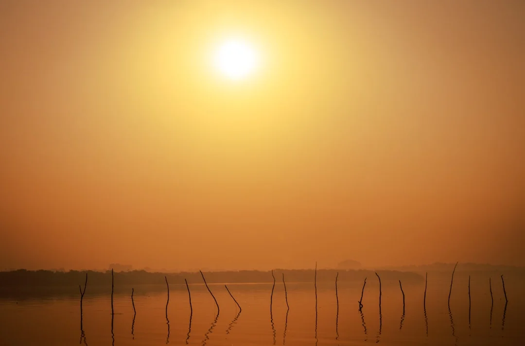 Años afortunados Descubriendo años afortunados: ¿Por qué algunos años parecen más favorables chinese metaphysics illustration abstract energy