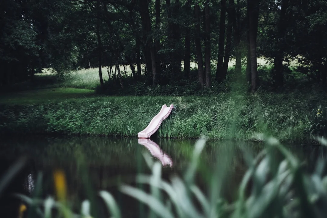 Dreaming About a School What Does Dreaming About a School Mean? chinese metaphysics illustration abstract energy