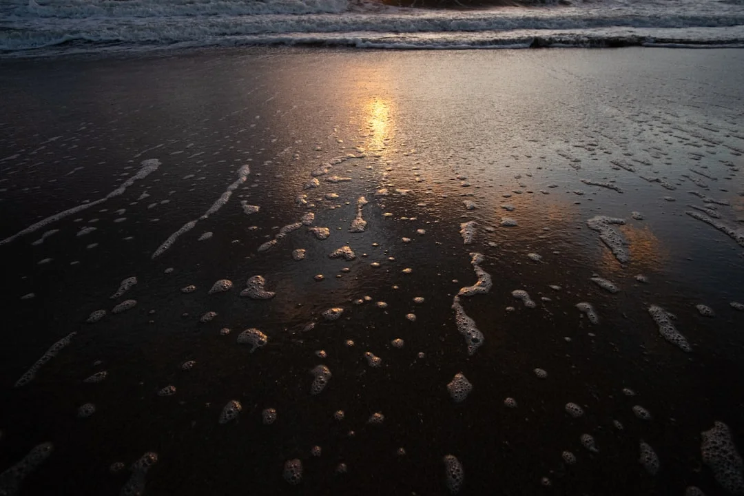 soñar con una tormenta ¿Qué significa soñar con una tormenta? chinese metaphysics illustration zen style