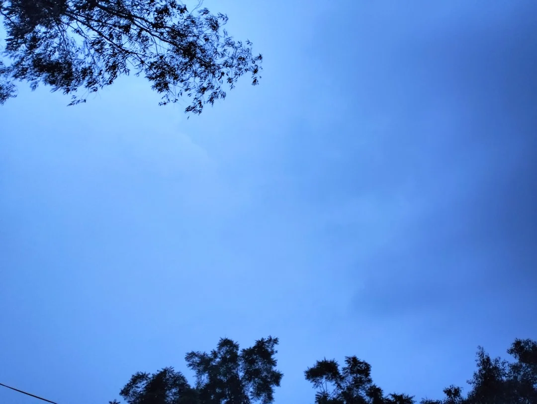 significado de un sueño con tren ¿Qué significa soñar con un tren? chinese metaphysics illustration zen style