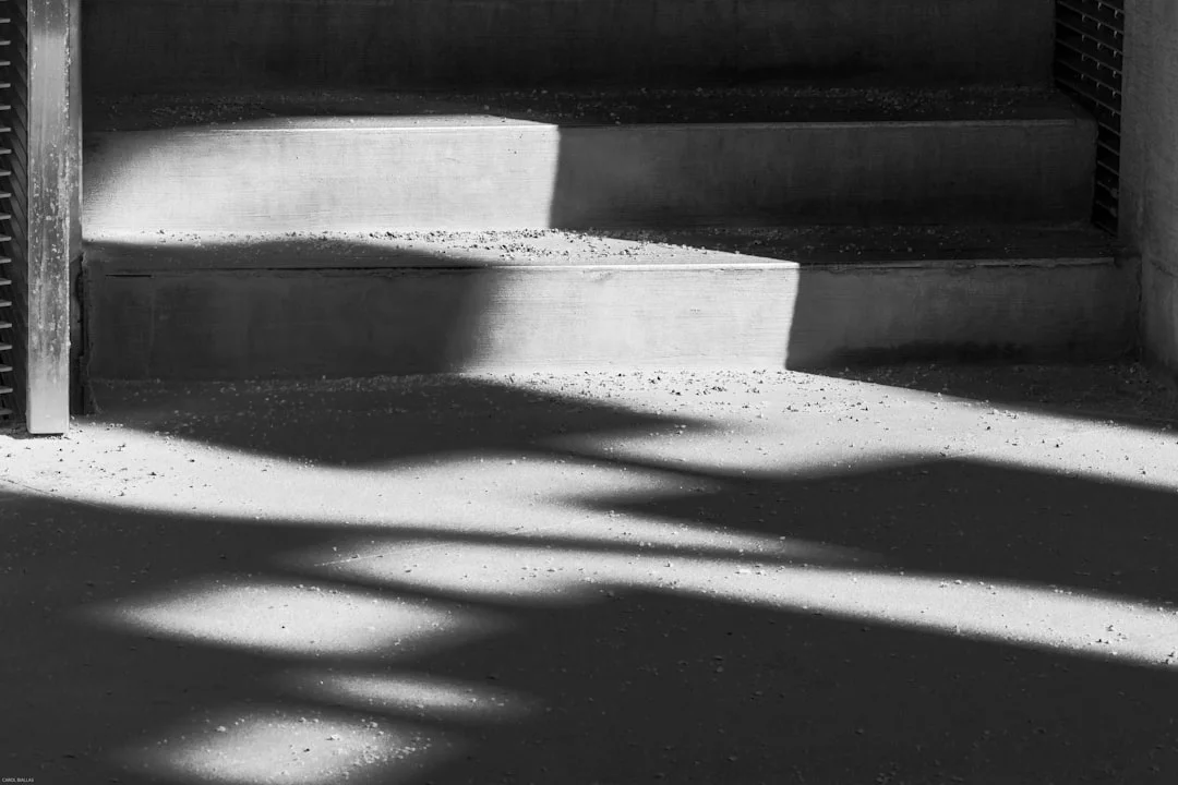 Dreaming About Darkness Meaning What Does Dreaming About Darkness Mean? chinese metaphysics illustration zen style