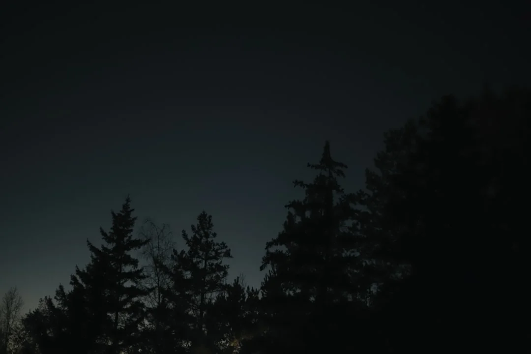 dreaming about jewelry What Does Dreaming About Jewelry Symbolize? chinese metaphysics illustration abstract energy