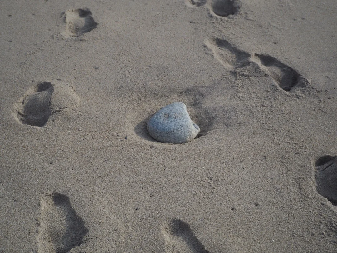 dream meaning of keys What Does Dreaming About Keys Mean? chinese metaphysics illustration zen style