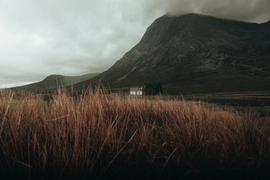 soñar con montañas ¿Qué significa soñar con montañas? chinese metaphysics illustration zen style