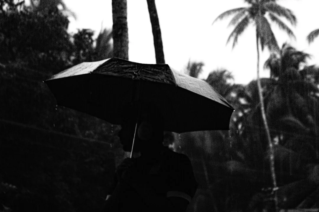 dreaming about rain What Does Dreaming About Rain Mean? chinese metaphysics illustration zen style