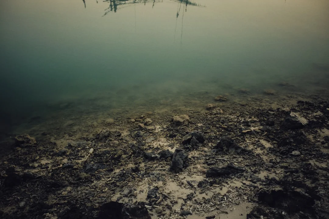 Dreaming About the Moon What Does Dreaming About the Moon Mean? chinese metaphysics illustration abstract energy