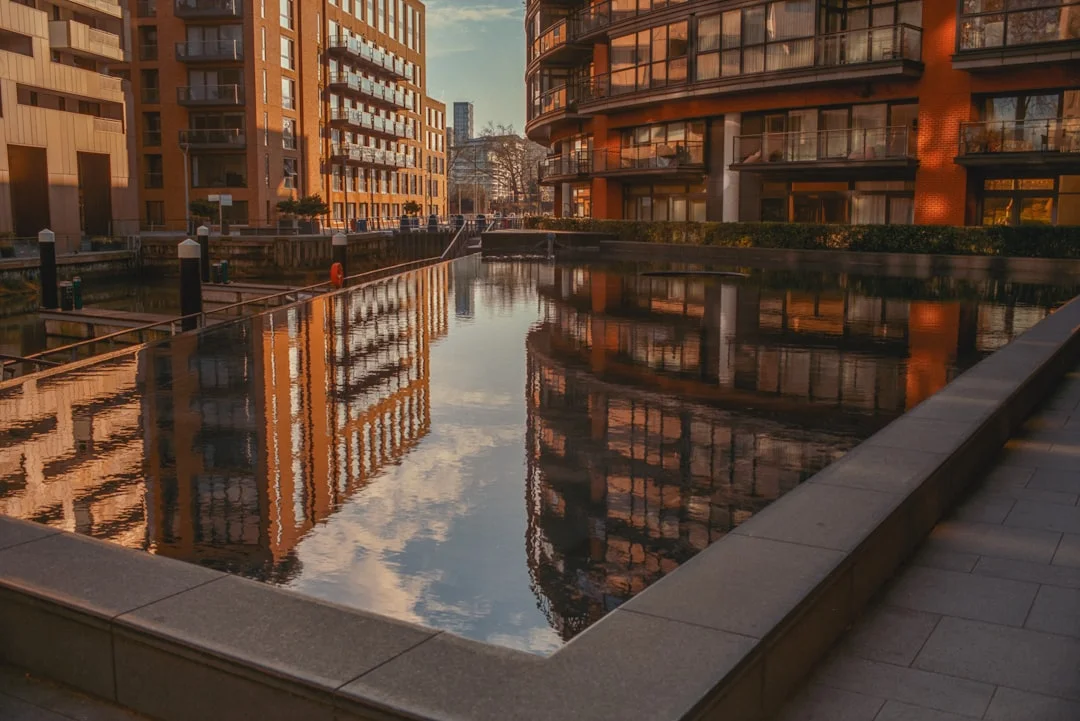 soñar con un perro que te ataca ¿Qué significa soñar que un perro te ataca? chinese metaphysics illustration zen style