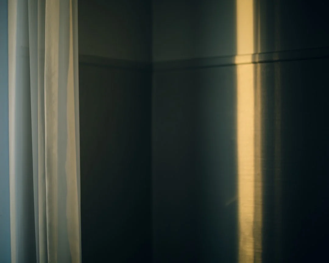 soñar con un perro que te ataca ¿Qué significa soñar que un perro te ataca? chinese metaphysics illustration abstract energy