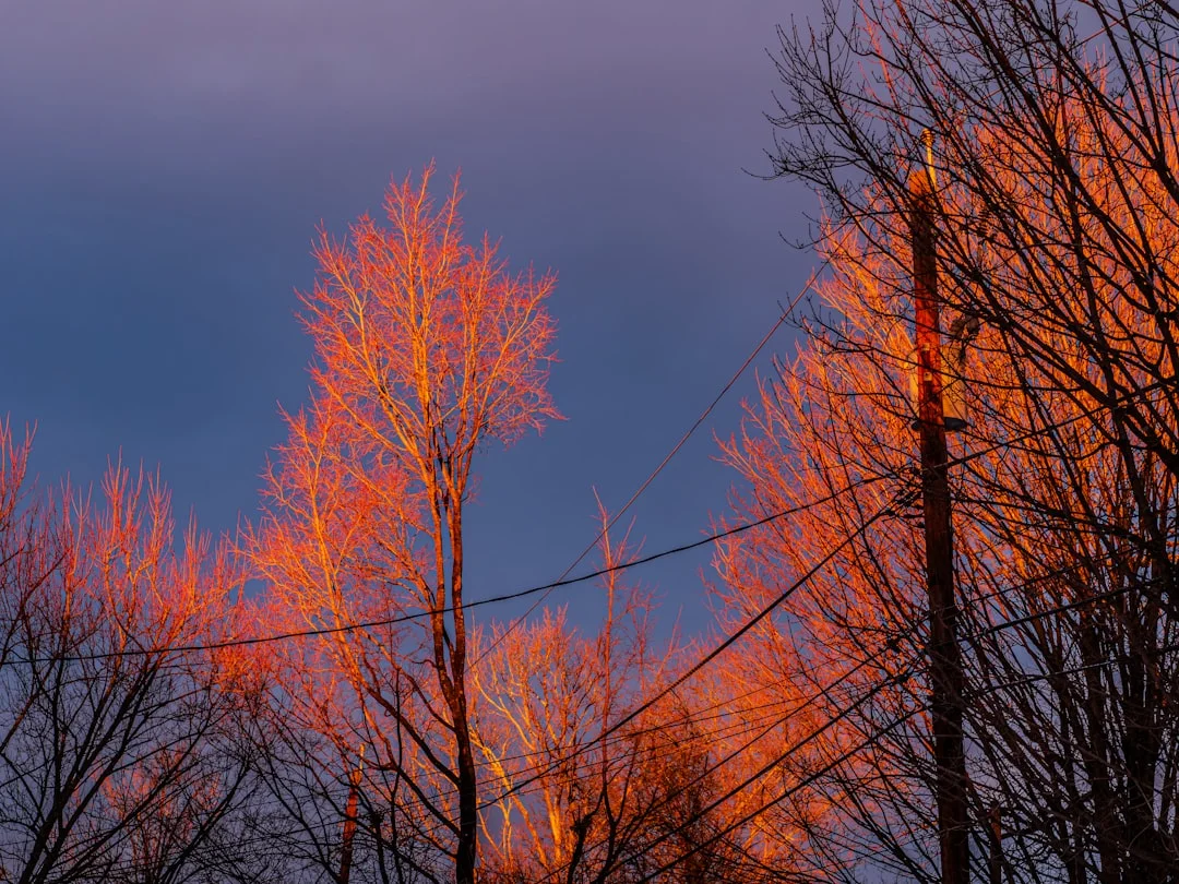 house fire dream meaning What Does It Mean to Dream About a House Fire? chinese metaphysics illustration abstract energy