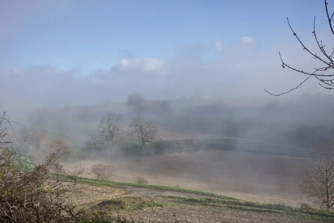 afterlife dreams What Does It Mean to Dream About Afterlife? chinese metaphysics illustration zen style