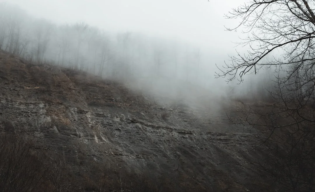 Dream Meaning of Ancient Texts What Does It Mean to Dream About Ancient Texts? chinese metaphysics illustration zen style