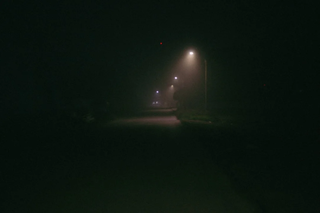 Sueños con gatos enfadados ¿Qué significa soñar con gatos enfadados? chinese metaphysics illustration zen style