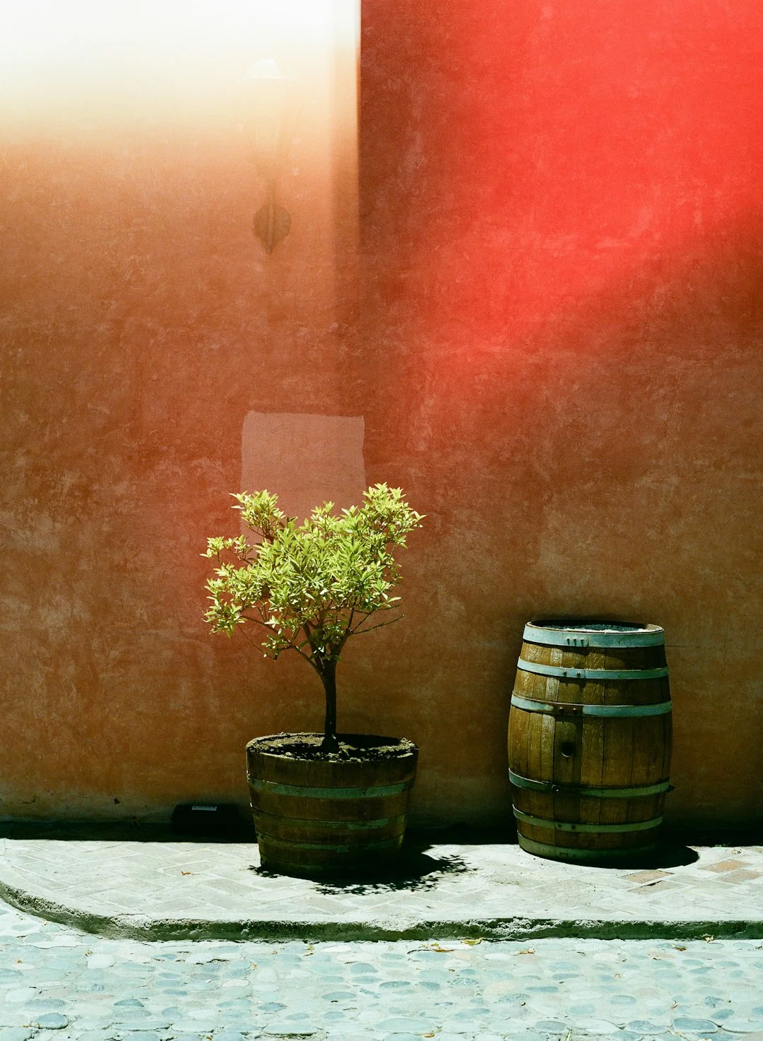 Sueños con gatos enfadados ¿Qué significa soñar con gatos enfadados? chinese metaphysics illustration abstract energy