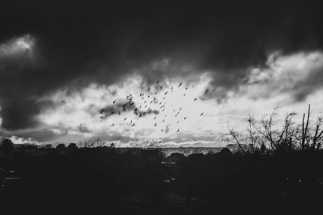 sueño con discusiones Significado de los Sueños con Discusiones: ¿Qué Revela sobre Tu Vida chinese metaphysics illustration zen style