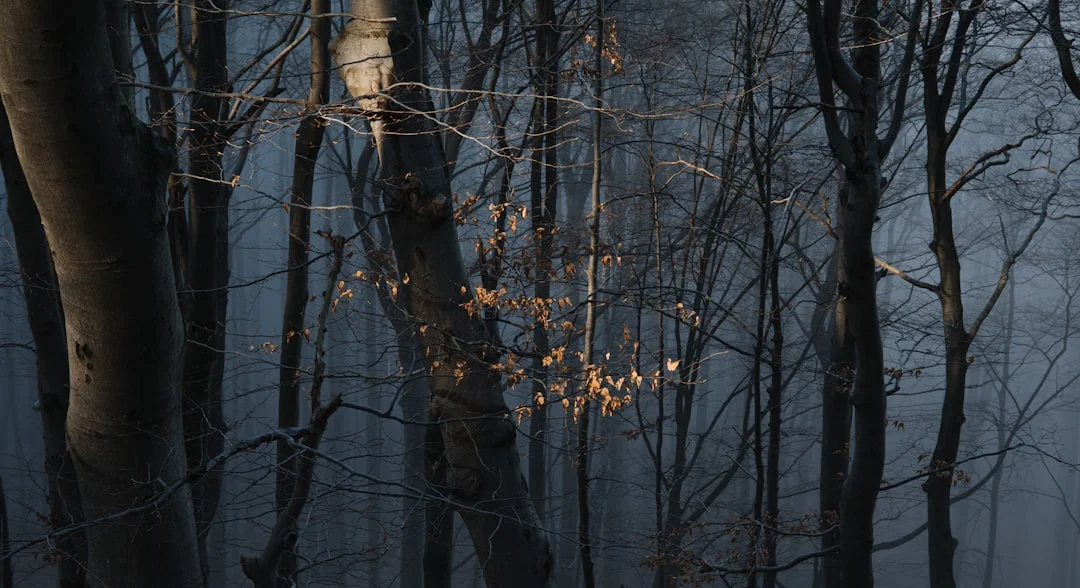 Soñar con bebés ¿Qué significa soñar con bebés? chinese metaphysics illustration abstract energy