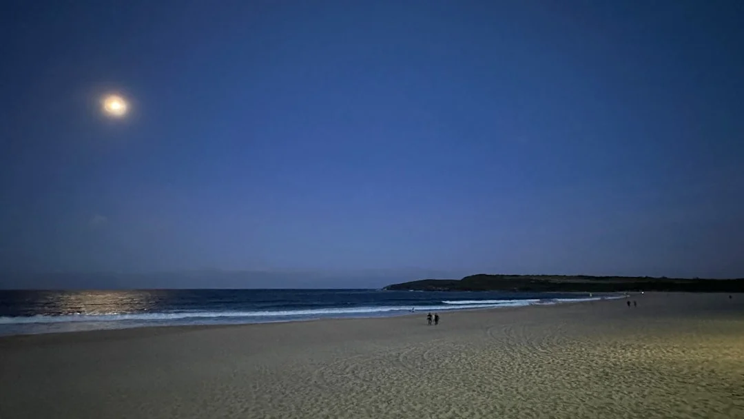 soñar que te muerde una culebra ¿Qué significa soñar que te muerde una culebra? chinese metaphysics illustration zen style