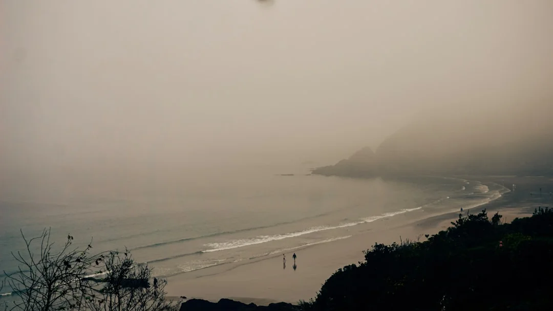 Sueños sobre estar embarazada ¿Qué significa soñar que estás embarazada? chinese metaphysics illustration zen style