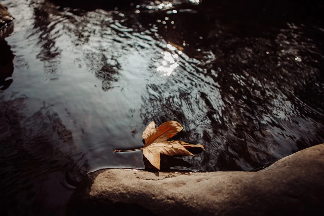 Swept away by water in dreams What Does It Mean to Dream About Being Swept Away by Water? chinese metaphysics illustration zen style
