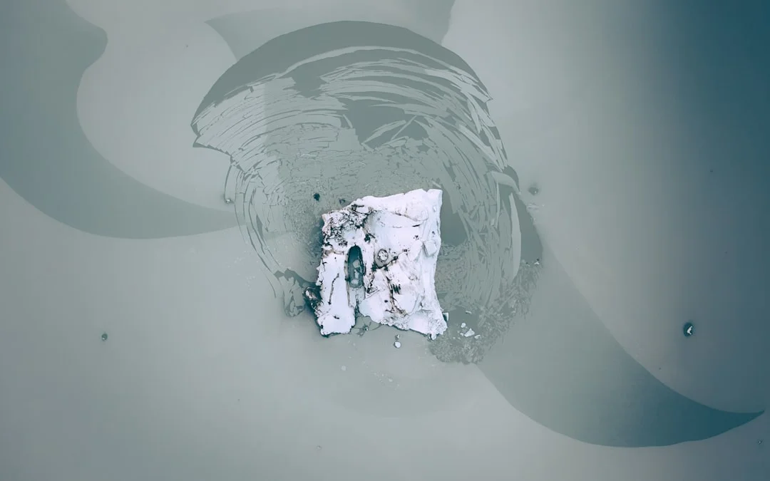 sueño de traición ¿Qué significa soñar con la traición? chinese metaphysics illustration zen style