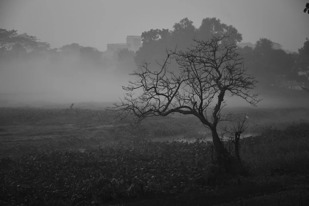 Significado de Sueño con una Gran Casa Significado de Sueño con una Gran Casa: Desbloqueando el Simbolismo y la Psicología chinese metaphysics illustration zen style