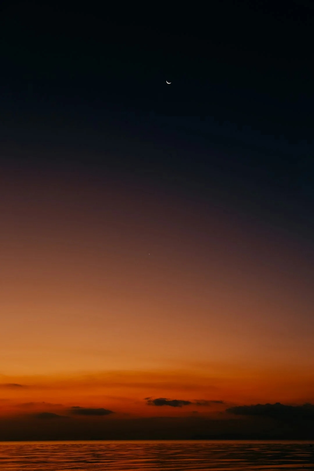 Gatos Negros en Sueños ¿Qué Significa Soñar con Gatos Negros? chinese metaphysics illustration abstract energy