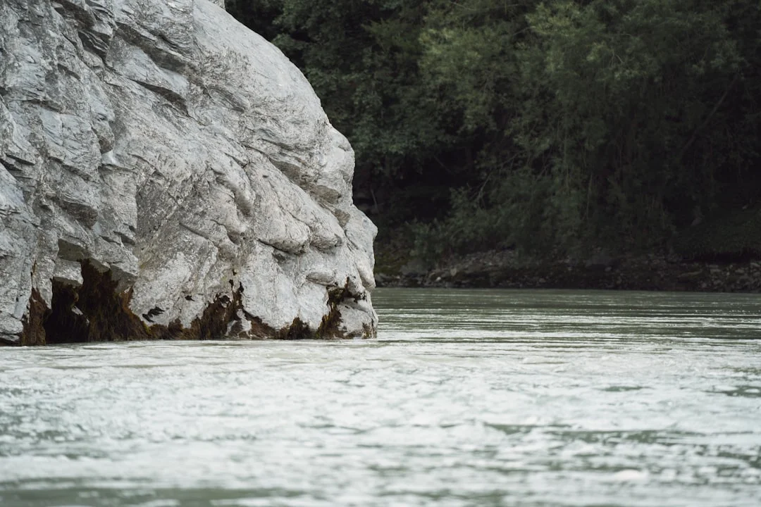 Sueños sobre libros Sueños Sobre Libros: Desbloqueando Su Significado Oculto chinese metaphysics illustration abstract energy