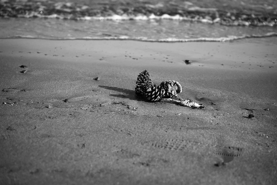 broken cars in dreams What Does It Mean to Dream About Broken Cars? chinese metaphysics illustration abstract energy