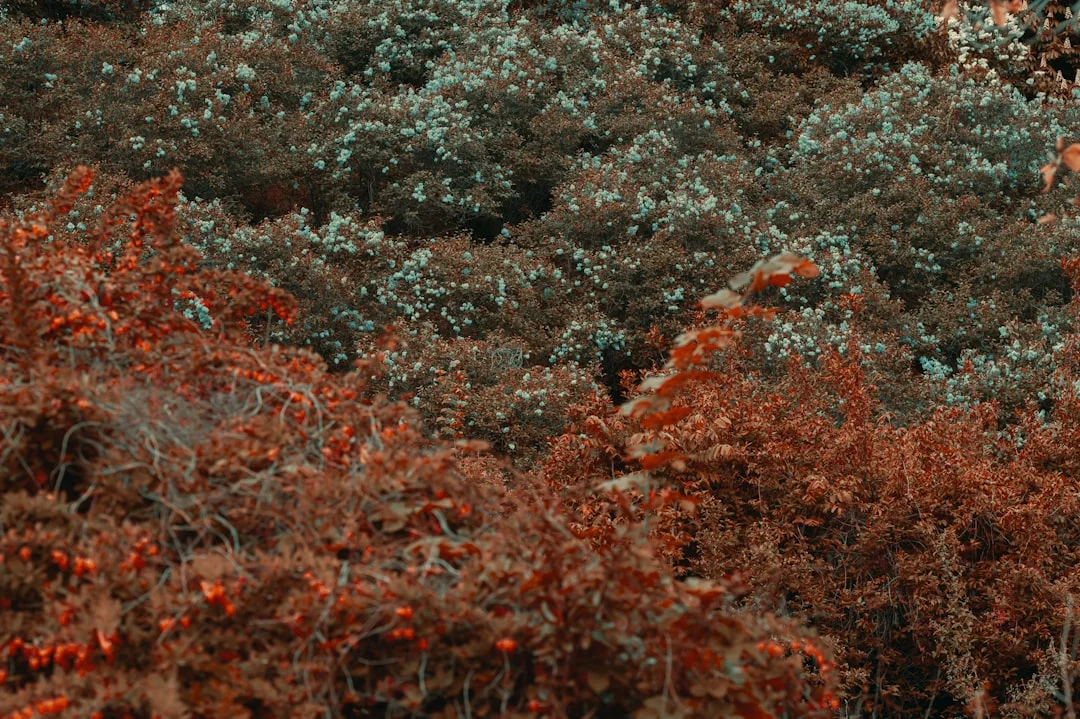 soñar con dientes rotos ¿Qué significa soñar con dientes rotos? chinese metaphysics illustration zen style