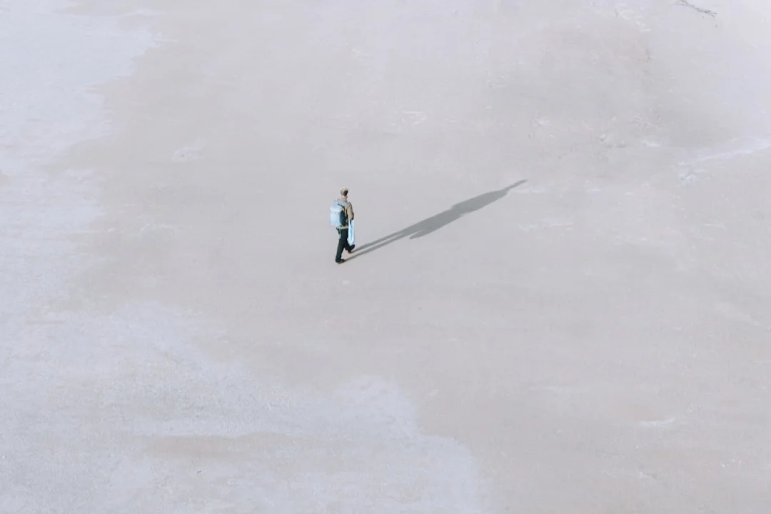 Sueño de pescar ¿Qué significa soñar con pescar? chinese metaphysics illustration zen style