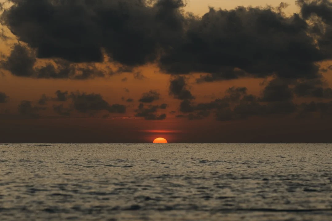 Sueño de pescar ¿Qué significa soñar con pescar? chinese metaphysics illustration abstract energy