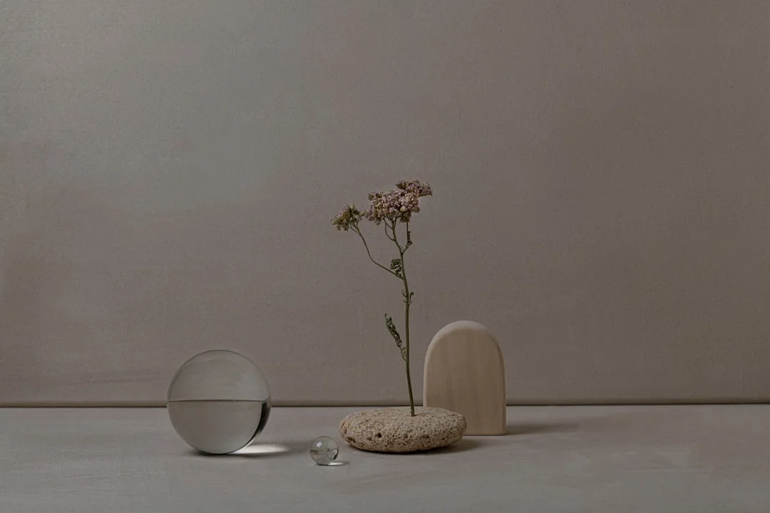 Soñar con gatos ¿Qué Significa Soñar con Gatos? chinese metaphysics illustration zen style