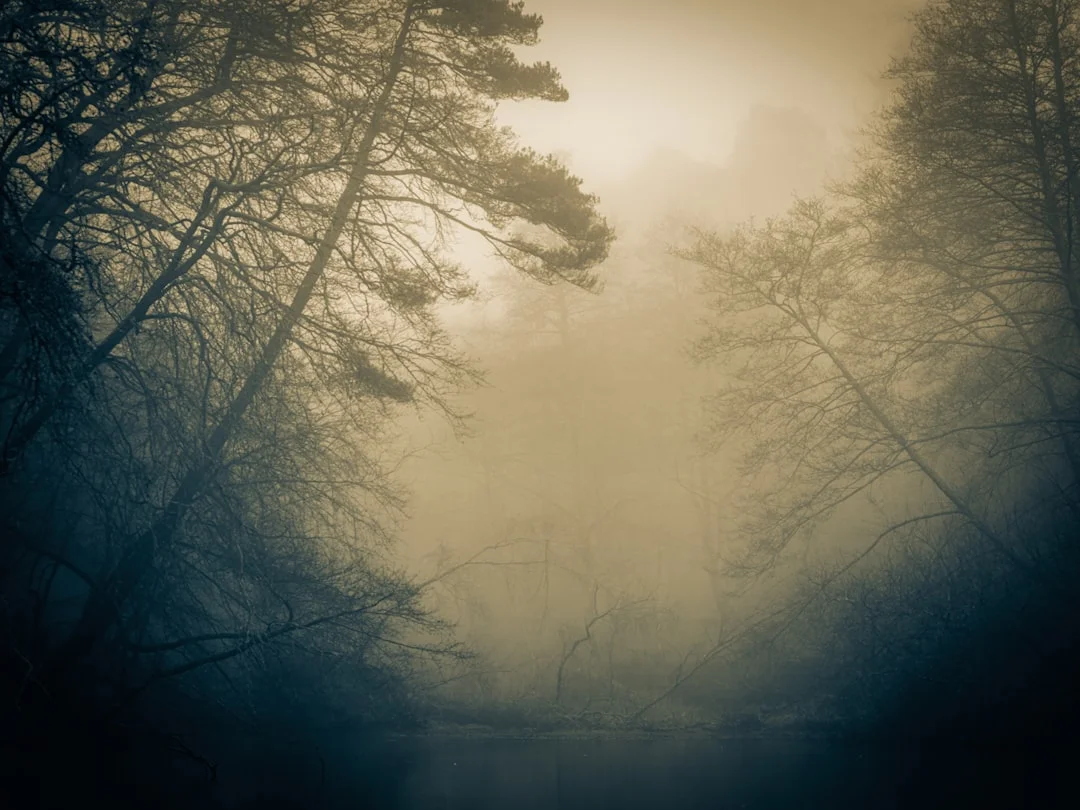 Cat Attack Dream Meaning What Does It Mean to Dream About Cats Attacking You? chinese metaphysics illustration abstract energy