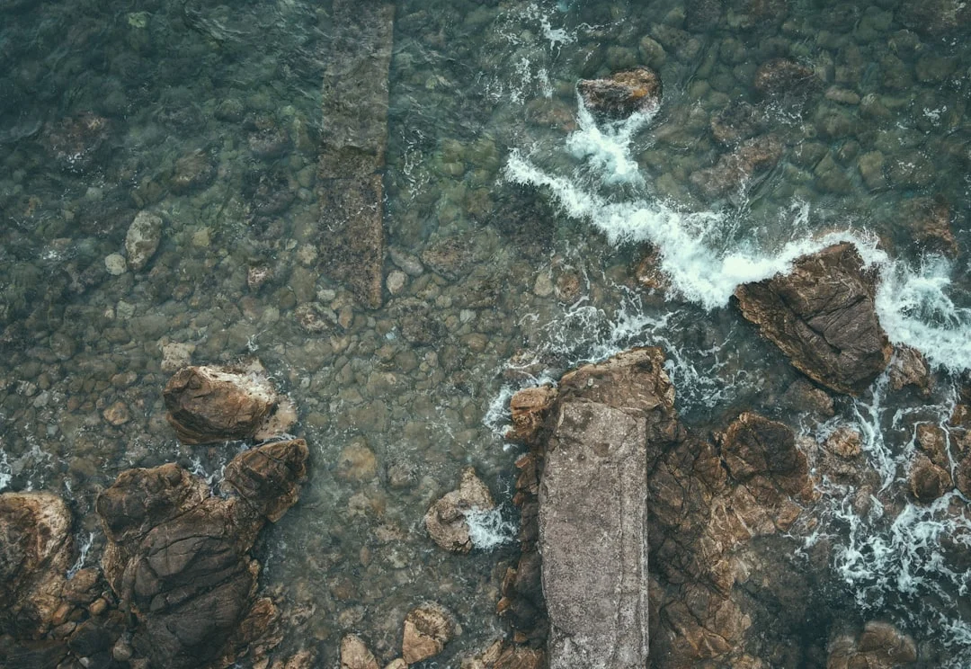 significado de los sueños de monedas ¿Qué Significa Suenar con Monedas? chinese metaphysics illustration zen style