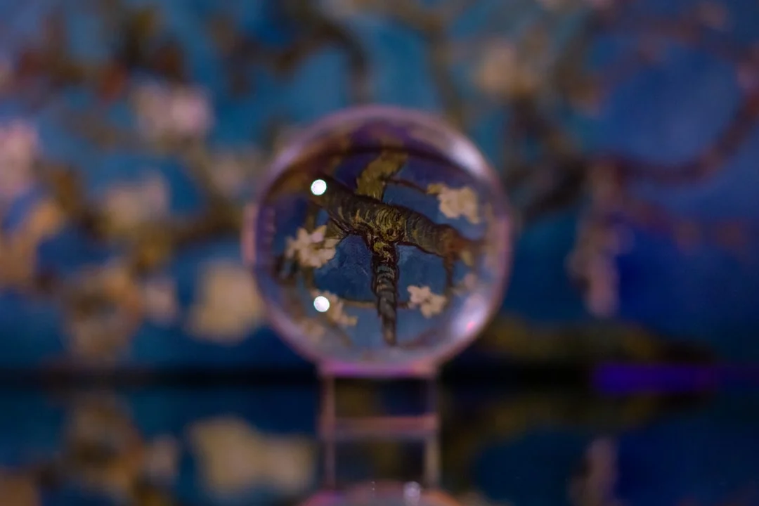 Significado de soñar con cruces de carreteras ¿Qué significa soñar con cruces de carreteras? chinese metaphysics illustration zen style