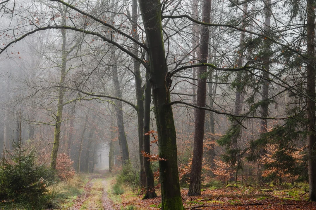 Significado de soñar con cruces de carreteras ¿Qué significa soñar con cruces de carreteras? chinese metaphysics illustration abstract energy