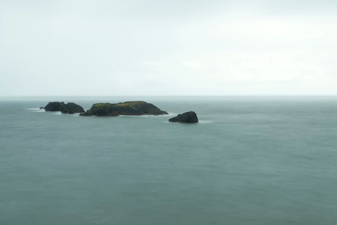 significado de soñar con peces muertos ¿Qué significa soñar con peces muertos? chinese metaphysics illustration zen style