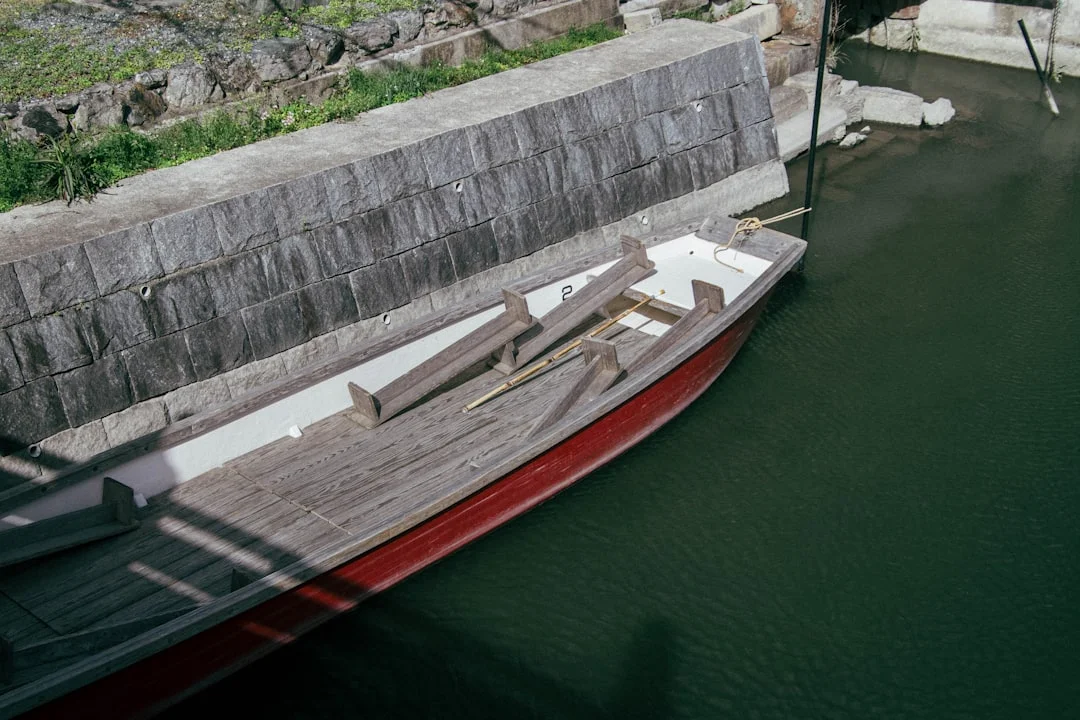 significado de soñar con peces muertos ¿Qué significa soñar con peces muertos? chinese metaphysics illustration abstract energy