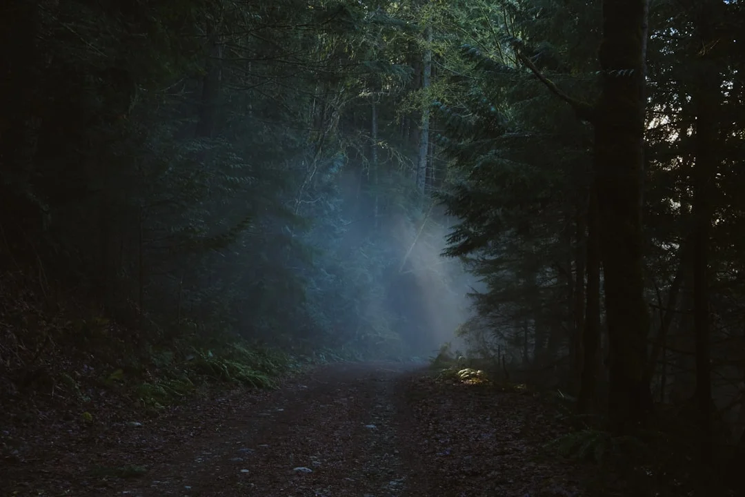 Significado de los Sueños de Seres Queridos Fallecidos Significado de los Seres Queridos Fallecidos en los Sueños: Entienda la Simbología chinese metaphysics illustration zen style