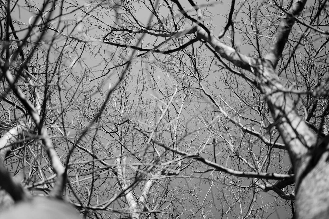 Sueños Sobre Destino Comprendiendo Sueños Sobre Destino: Significado y Interpretación chinese metaphysics illustration abstract energy