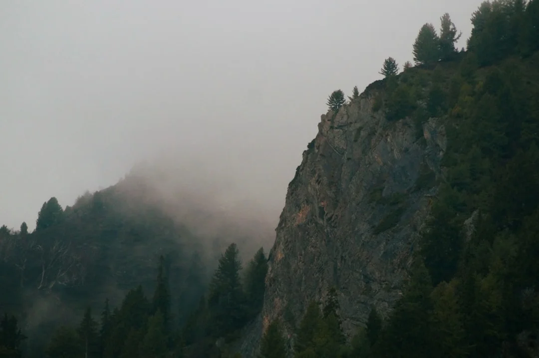 Vergüenza en los sueños ¿Qué significa soñar con vergüenza? chinese metaphysics illustration zen style