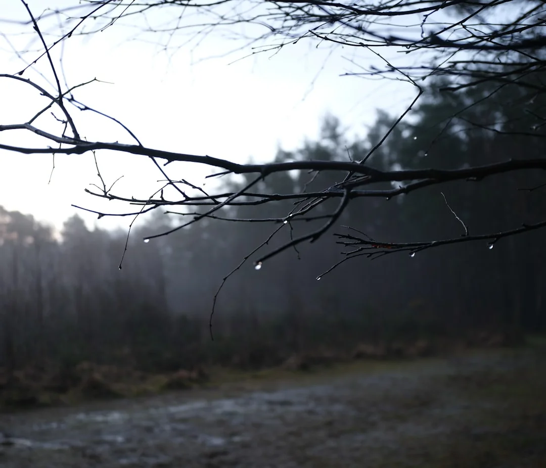 Dream About Falling From the Sky What Does It Mean to Dream About Falling From the Sky? chinese metaphysics illustration zen style