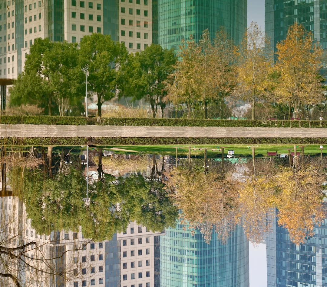 famous people dream meaning What Does It Mean to Dream About Famous People? chinese metaphysics illustration zen style