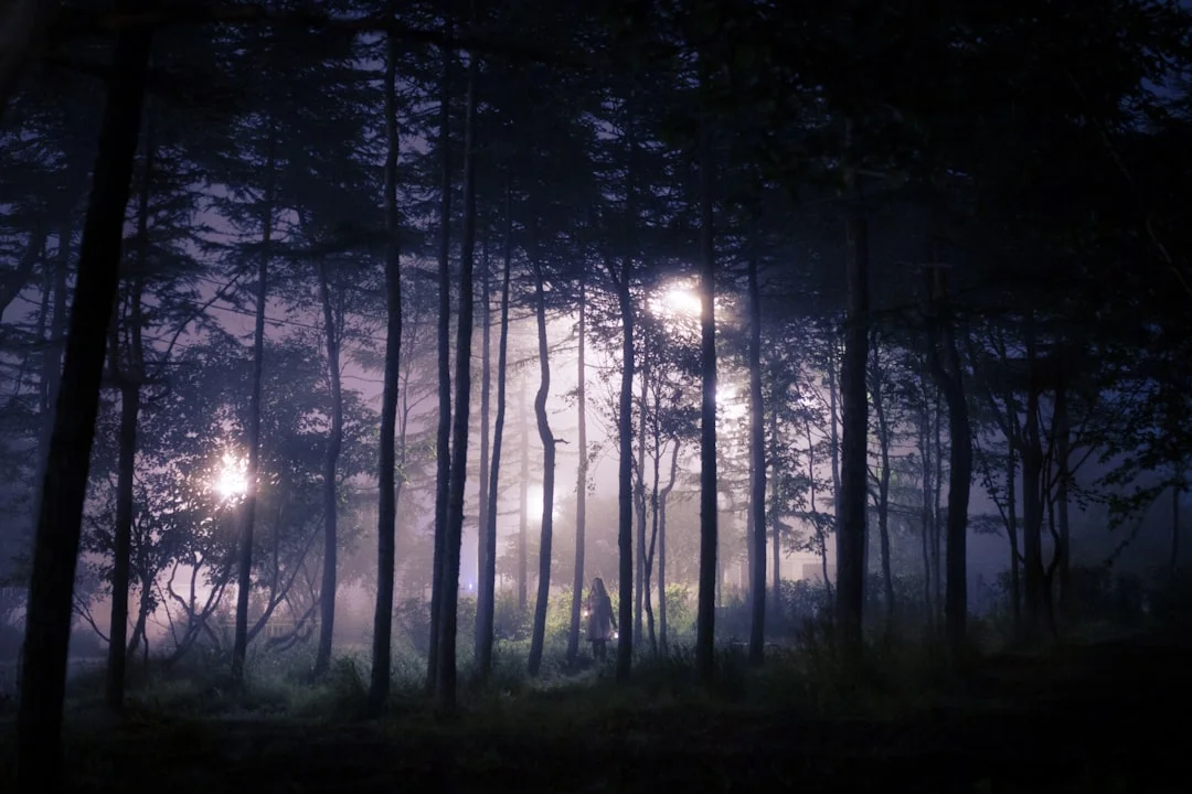 soñar con pelear alguien ¿Qué significa soñar con pelear con alguien? chinese metaphysics illustration zen style