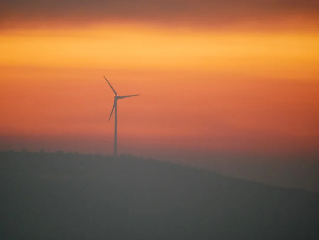 significado de los sueños de vuelo ¿Qué significa soñar que se vuela? chinese metaphysics illustration zen style
