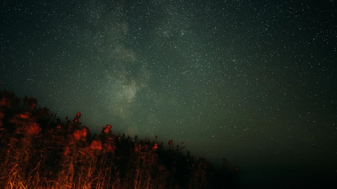 significado de los sueños de vuelo ¿Qué significa soñar que se vuela? chinese metaphysics illustration abstract energy